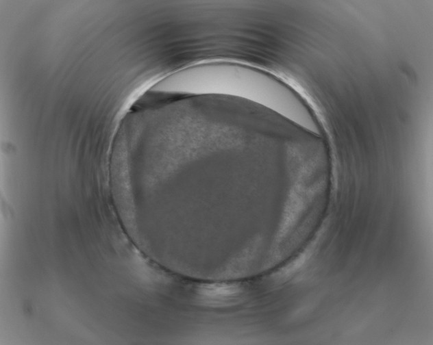 X0000090621145200708071219