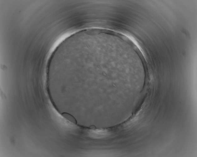 X0000090621147200708071219