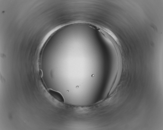 X0000090621148200708071219