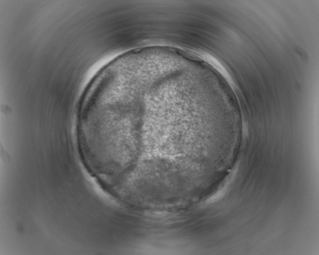 X0000090621149200708071219