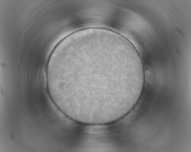 X0000090621150200708071219