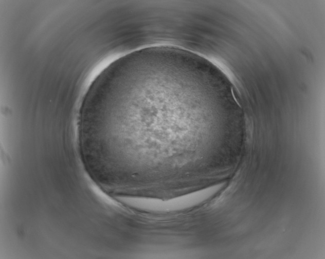 X0000090621151200708071219