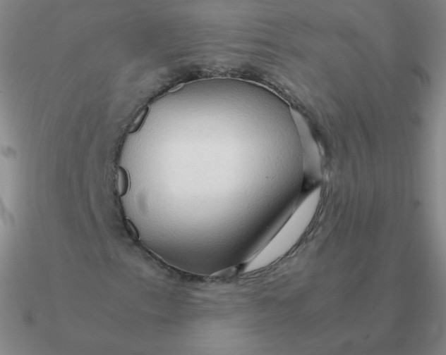 X0000090621153200708071218