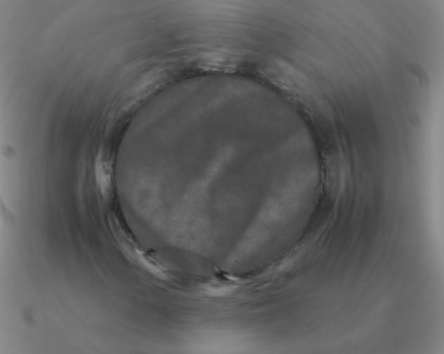 X0000090621154200708071218