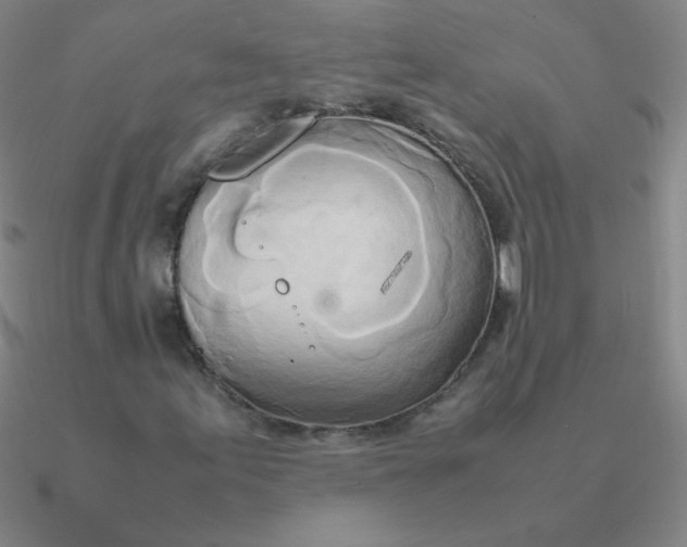 X0000090621155200708071218