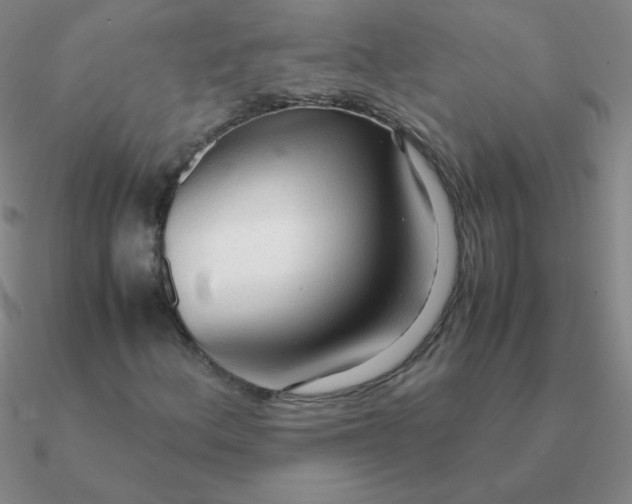 X0000090621156200708071218