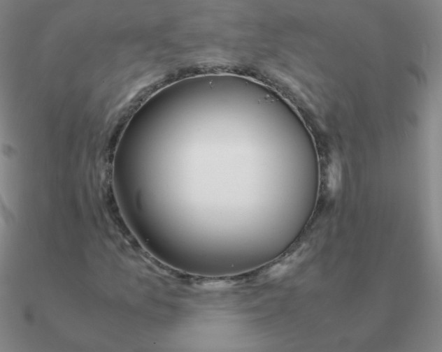 X0000090621157200708071218