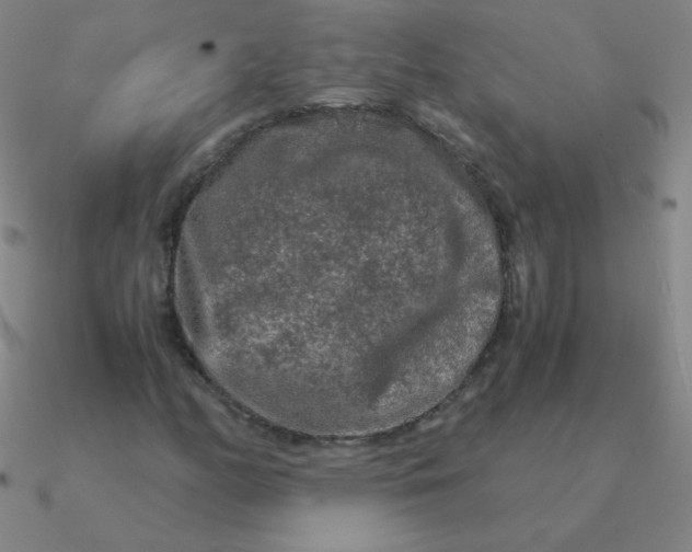 X0000090621158200708071218