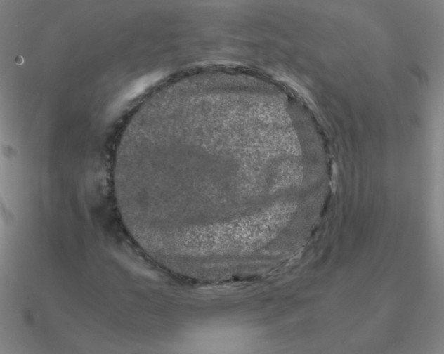 X0000090621159200708071218