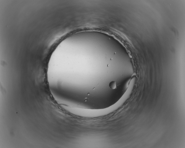 X0000090621160200708071218