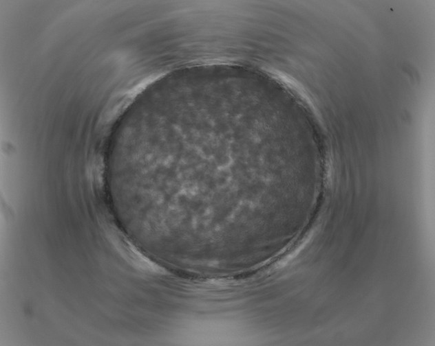 X0000090621161200708071218