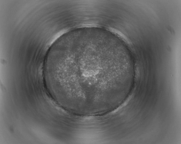 X0000090621162200708071218