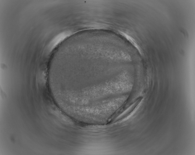 X0000090621163200708071218