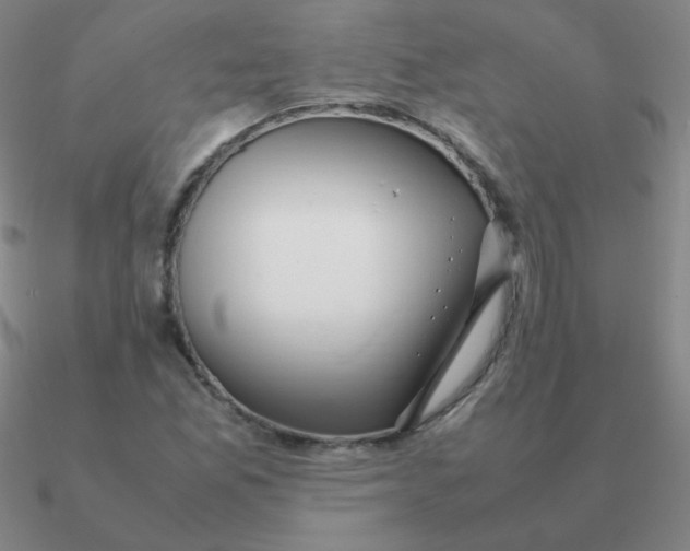 X0000090621165200708071218