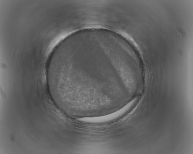 X0000090621167200708071218