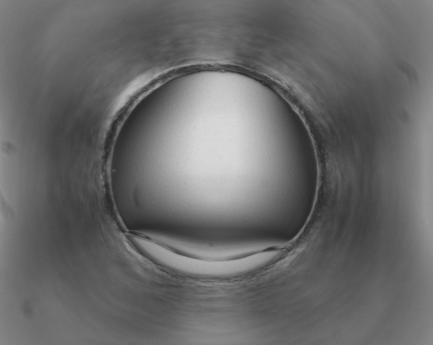 X0000090621168200708071218