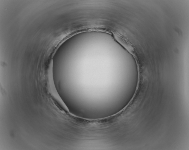 X0000090621169200708071218