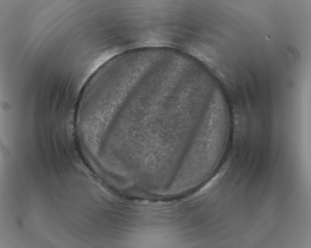 X0000090621170200708071218