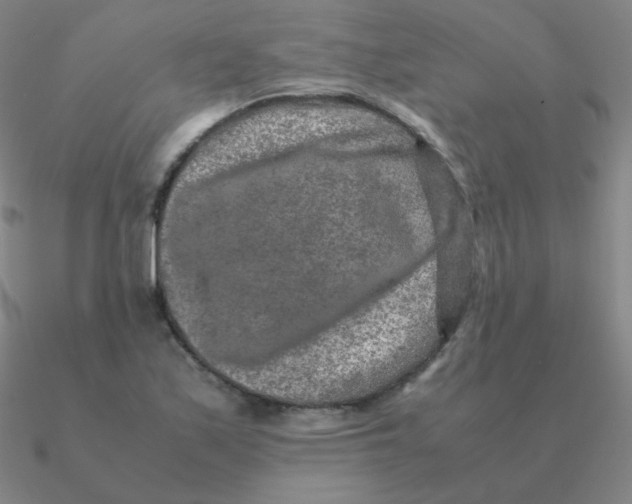 X0000090621171200708071218