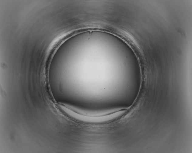 X0000090621172200708071218