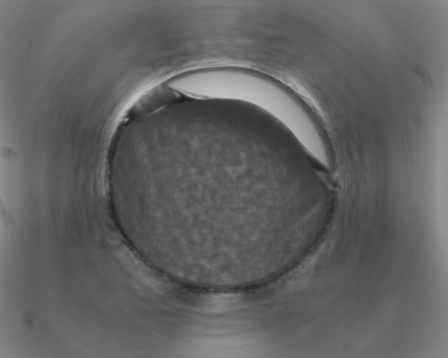 X0000090621173200708071218