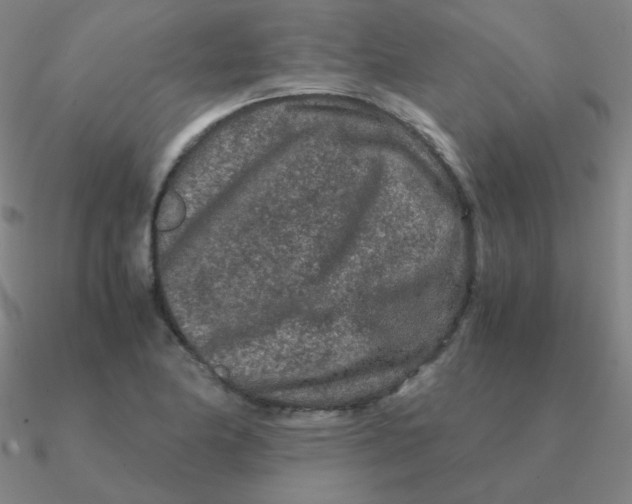 X0000090621174200708071218