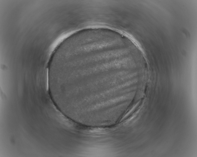 X0000090621175200708071218