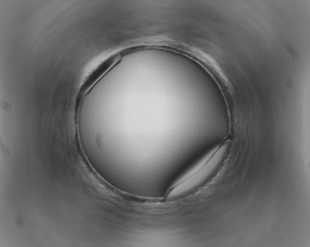 X0000090621176200708071218