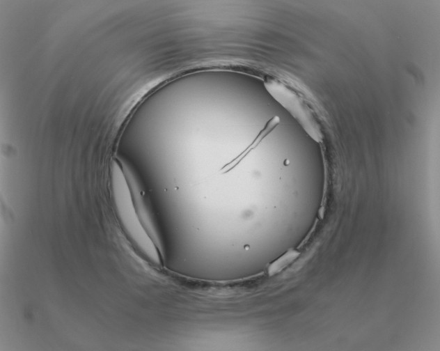 X0000090621177200708071218