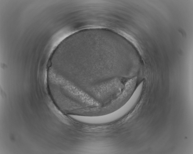 X0000090621179200708071218