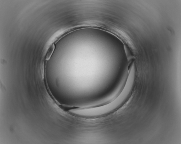 X0000090621180200708071218