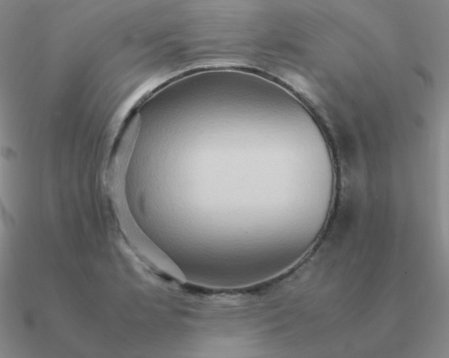 X0000090621181200708071218