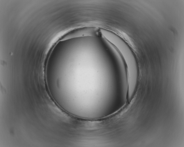 X0000090621184200708071218