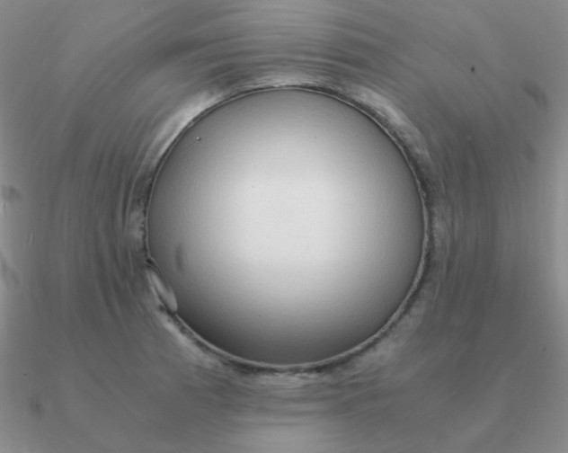 X0000090621185200708071218