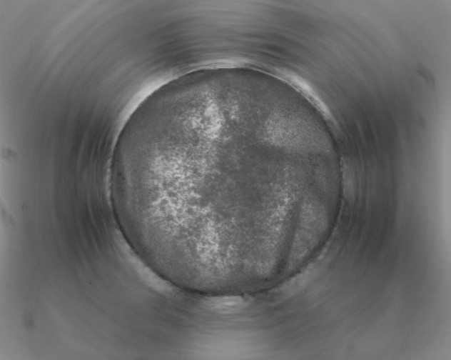 X0000090621186200708071218