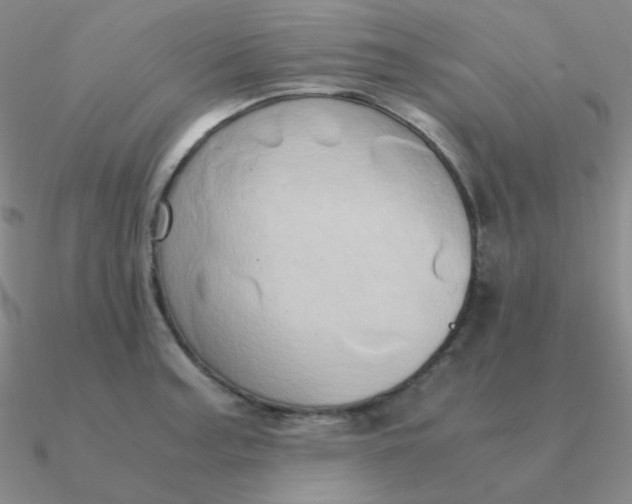 X0000090621187200708071218