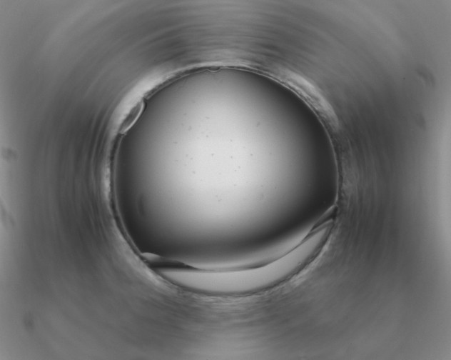 X0000090621188200708071218