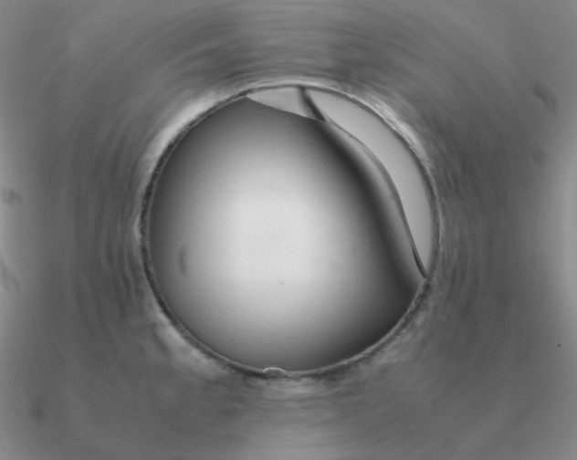 X0000090621189200708071218