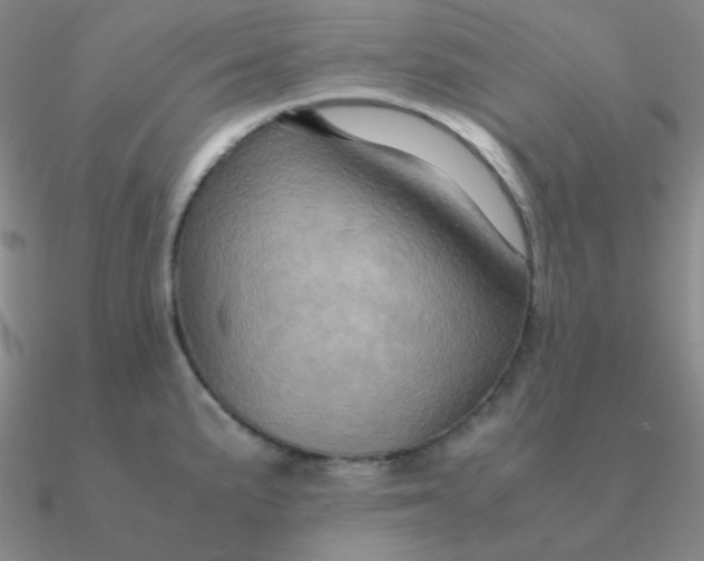 X0000090621191200708071218