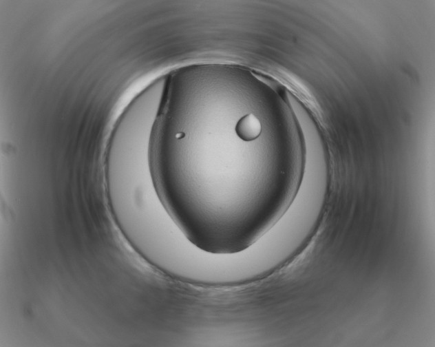 X0000090621192200708071218