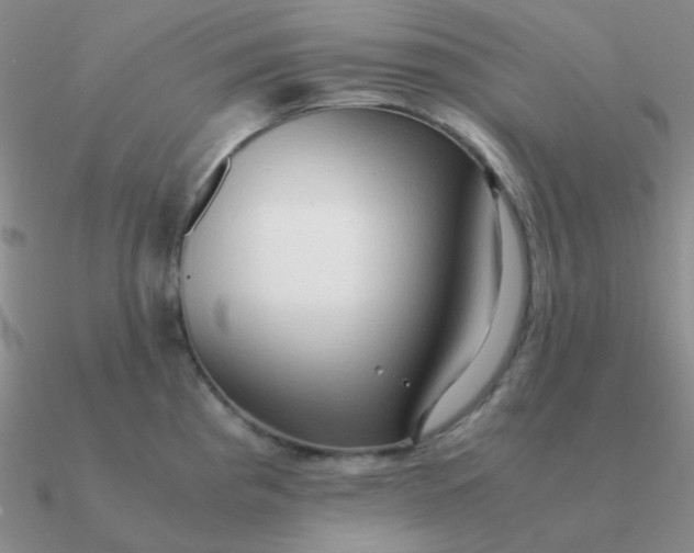 X0000090621193200708071218