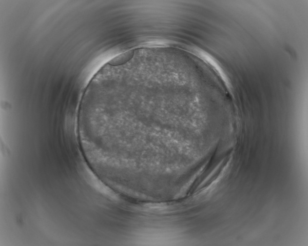 X0000090621194200708071218