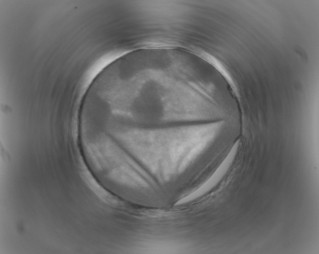 X0000090621195200708071218