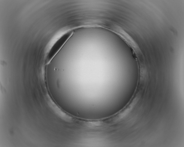 X0000090621196200708071218