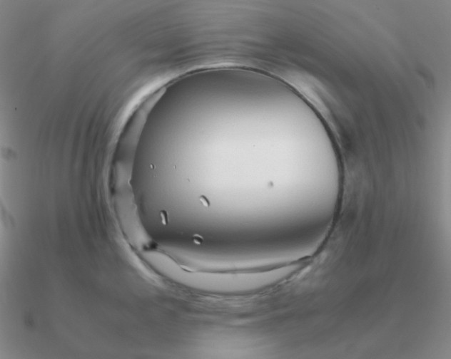 X0000090621197200708071218