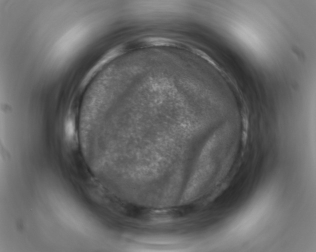 X0000090621198200708071218