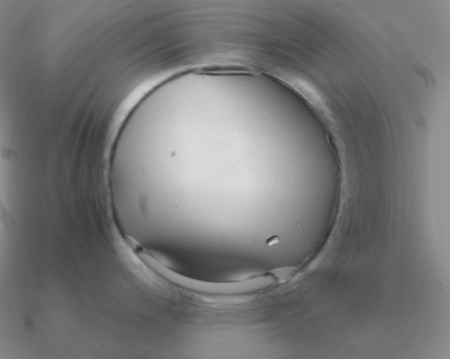 X0000090621200200708071218