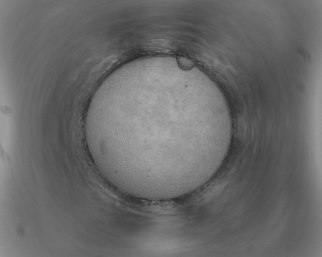 X0000090621201200708071217