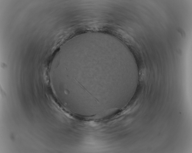 X0000090621202200708071217