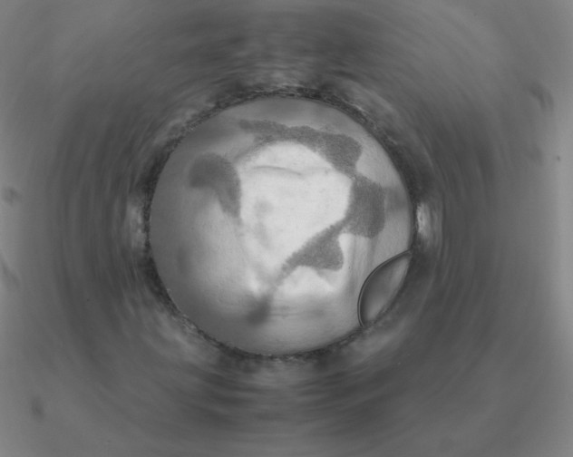 X0000090621203200708071217